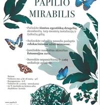 Papilio Mirabilis - Выставка тропических бабочек в Аникщяй 