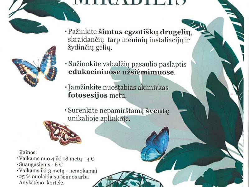 Papilio Mirabilis -Tropinių drugelių paroda Anykščiuose 